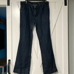 Express Embellished Flare Jeans